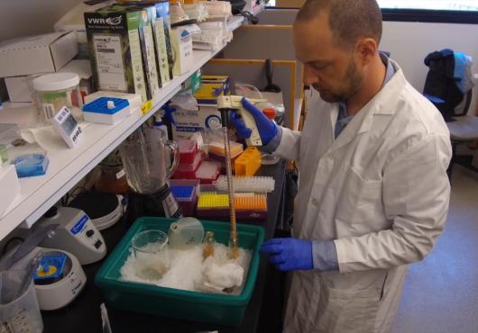 Scientist in the lab