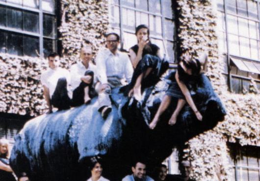 Riding Rhinos