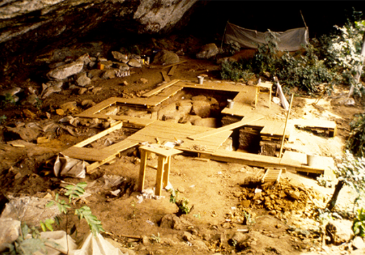 Archaeological excavation with boards set up over soil beneath a rock overhang