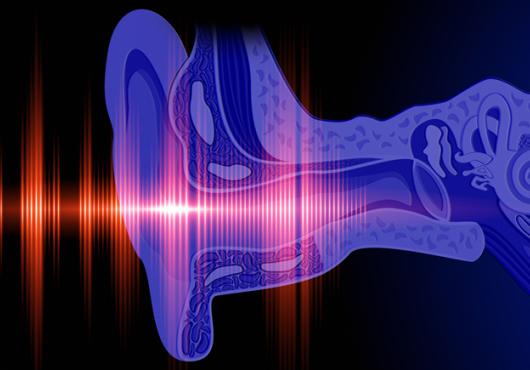 illustration of sound waves entering ear