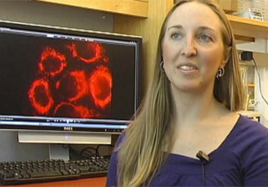 For Cancer Cells, Genetics Alone is Poor Predictor for Drug Response
