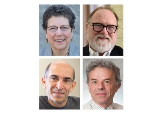 kahn, kessler, moazed and wolfe