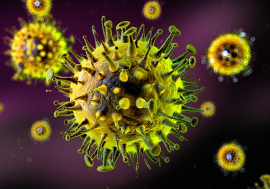 virus