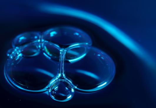 Bubbles on a petri dish