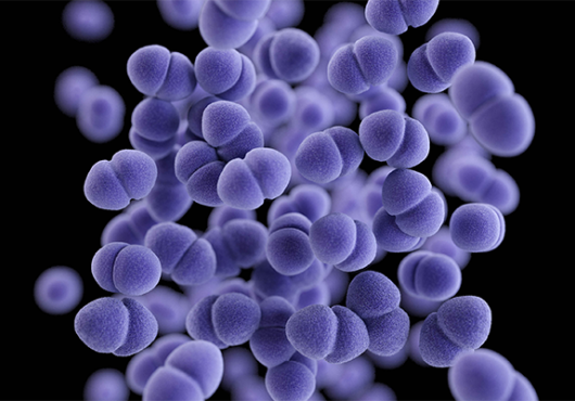 Where No Botulinum Toxin Has Gone Before
