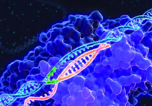 Honoring the CRISPR Revolution