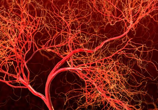 Why Antiangiogenesis Fails