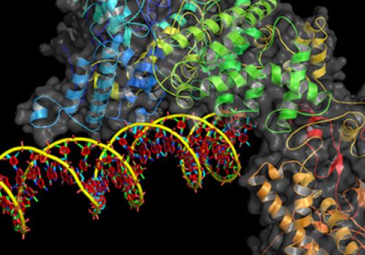 High-fidelity CRISPR