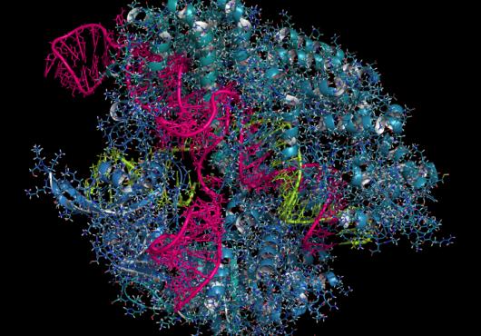 Gene-Editing Guide 