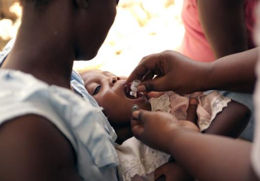 Fighting Cholera Harvard Medical School 3659