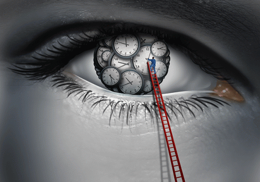 Circadian Clock’s Inner Gears