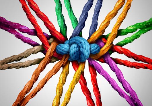 Sharp Rise in Common Ownership