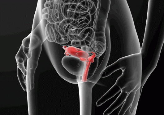 HIV and the Microbiome