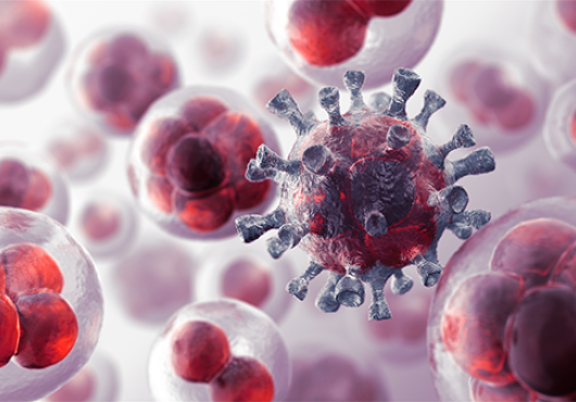 Staving Off Stem Cell Cancer Risk