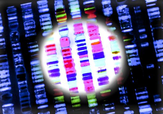 Genetic Testing for the Healthy