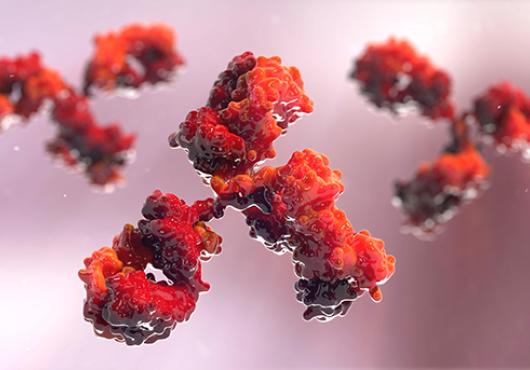Amping Up Antibodies