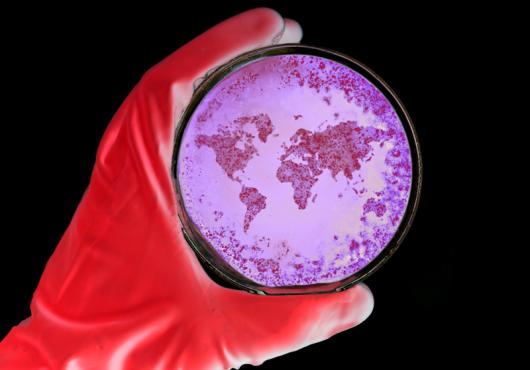 Global Health, Global Security