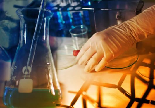 HMS Students Receive HHMI Fellowships