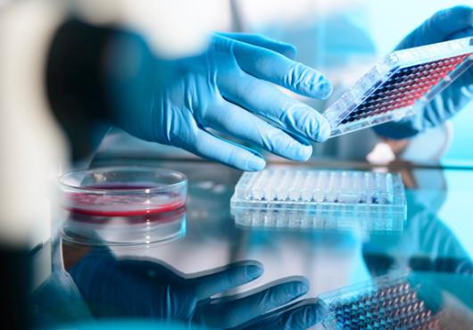 2016 HHMI Fellows Named