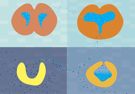 Prenatal Proteomics