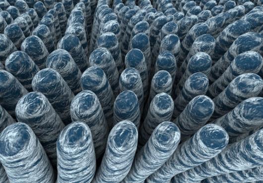 Variations on an Enzyme