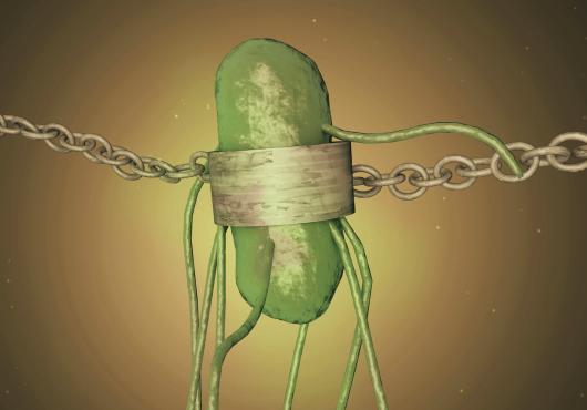 Biological safety lock for genetically modified organisms 