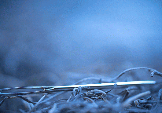 Needle in a Haystack