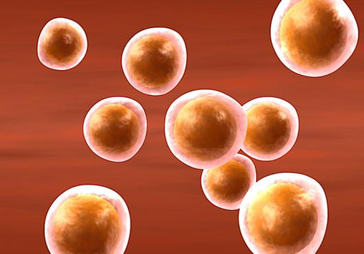 The Promise and Peril of Emerging Reproductive Technologies