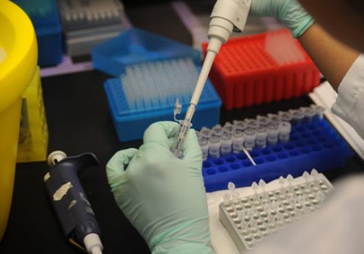 Predictive Genomics 