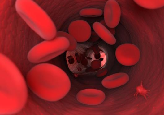 Make Way for Hemoglobin
