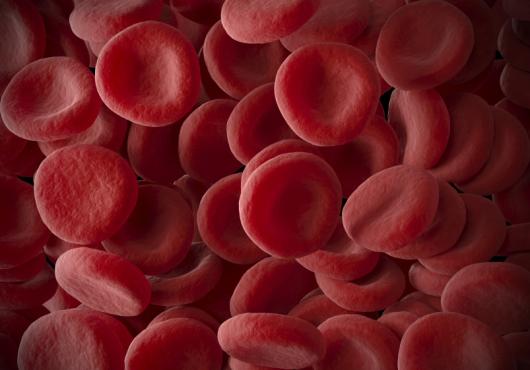 Blood Work