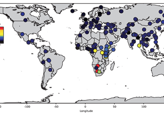 A Diversity of Genomes