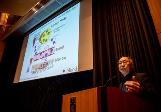 Meeting the Challenge of Cancer Resistance