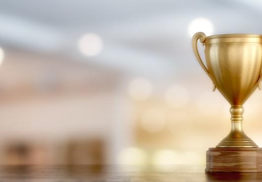 Prizewinning Disparity
