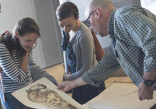 Glimpsing the Anatomical Past