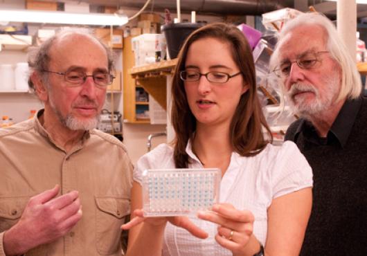 Novel Blood Thinners, Antibiotics Clued by Bacteria