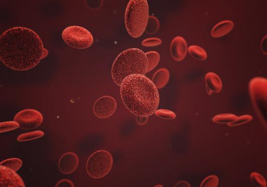 Blood Balance