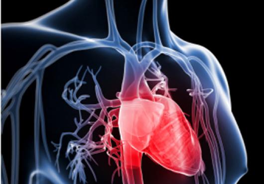 New Target in Heart Failure