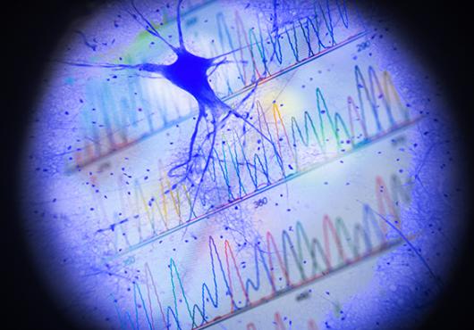 The Written History of a Neuron