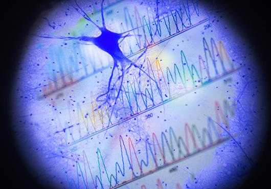 The Written History of a Neuron