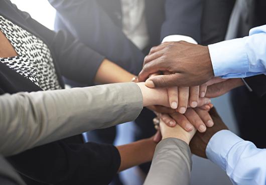 Bridging the Trust Gap