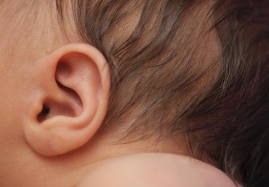 Gene therapy restores hearing in deaf mice