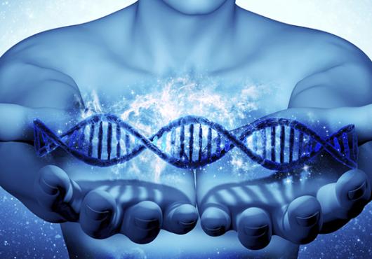 Understanding Your Genome