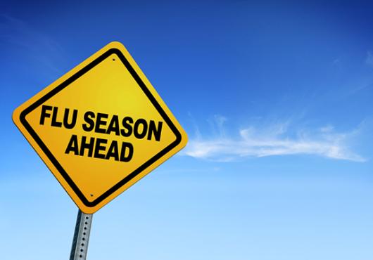 Nowcasting—and Forecasting—Flu