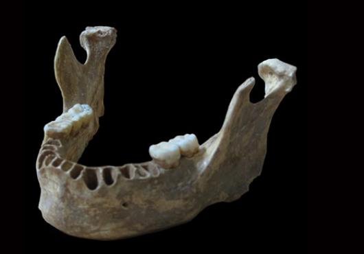 Great-Great-Grandpa Neanderthal?