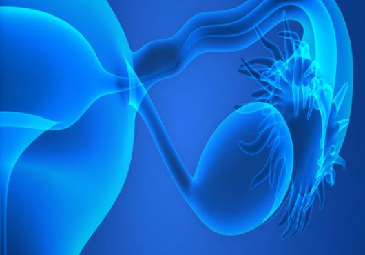 Ovarian Chemo Shield?