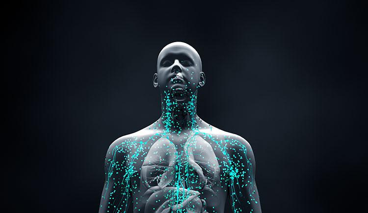 digital illustration of human body, with veins illuminated in teal