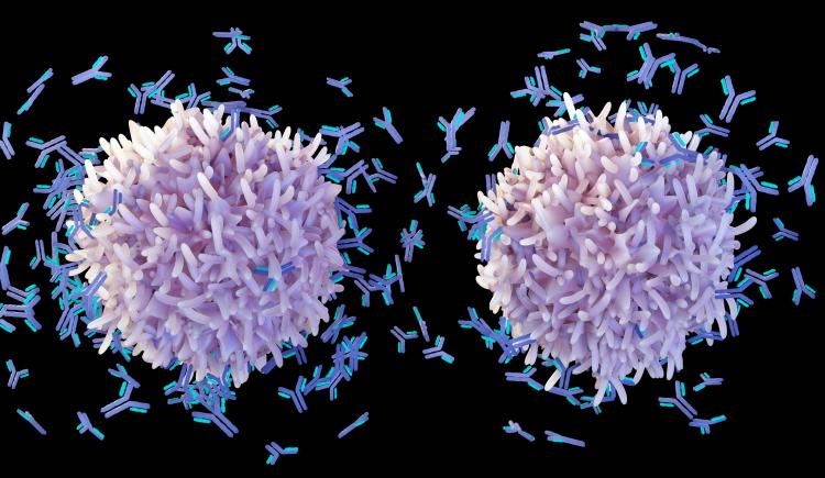 Illustration of two balls with rough surfaces, emitting dozens of Y-shaped antibodies
