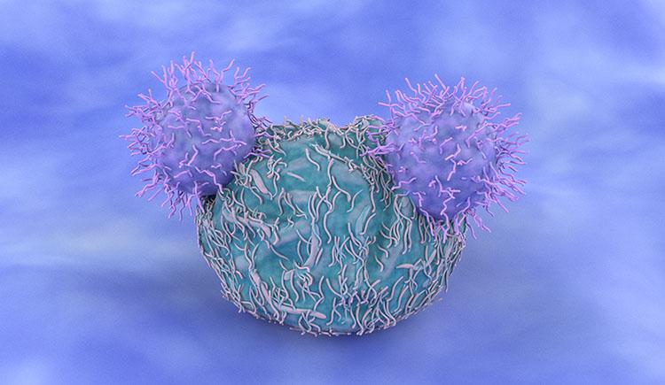 Computer generated image of two CAR-T cells targeting one cancer cell