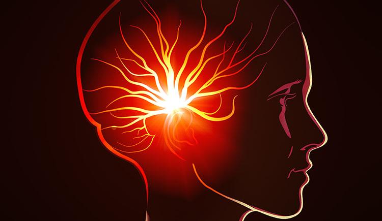 Illustration of a human brain with lighted signaling pathways